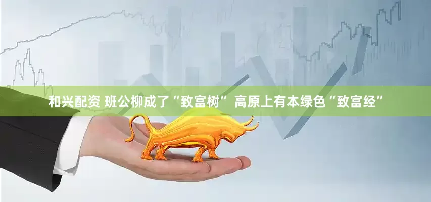 和兴配资 班公柳成了“致富树” 高原上有本绿色“致富经”