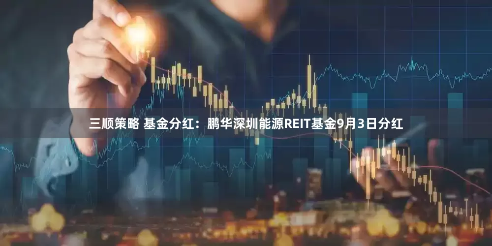 三顺策略 基金分红：鹏华深圳能源REIT基金9月3日分红