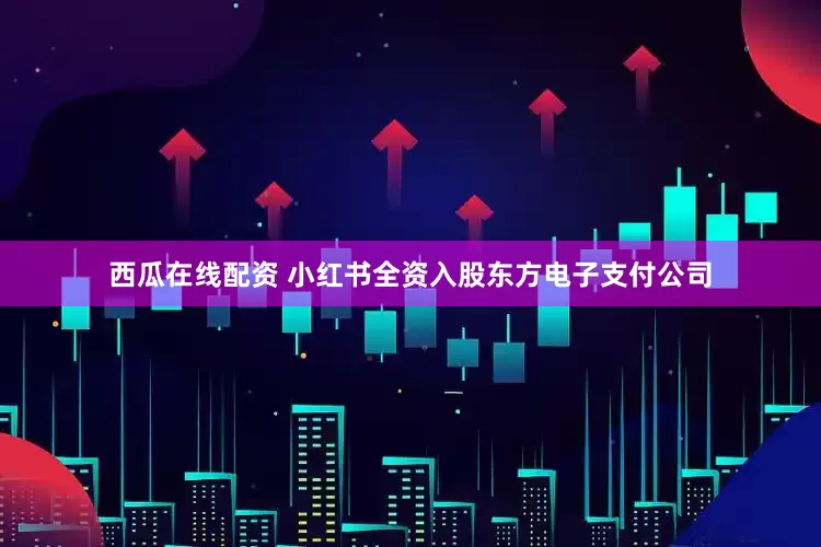 西瓜在线配资 小红书全资入股东方电子支付公司