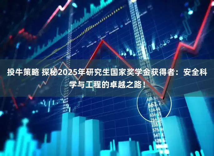 投牛策略 探秘2025年研究生国家奖学金获得者：安全科学与工程的卓越之路！