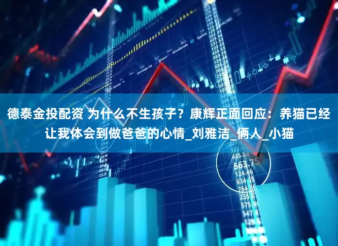 德泰金投配资 为什么不生孩子？康辉正面回应：养猫已经让我体会到做爸爸的心情_刘雅洁_俩人_小猫
