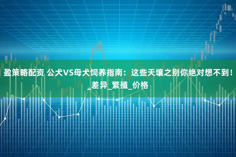 盈策略配资 公犬VS母犬饲养指南：这些天壤之别你绝对想不到！_差异_繁殖_价格